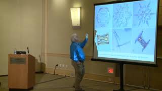 Connecting the Biological and Physical Principles of Mammalian Aging Information