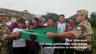 Así liberaron 150 aves autóctonas destinadas a una vida de encierro