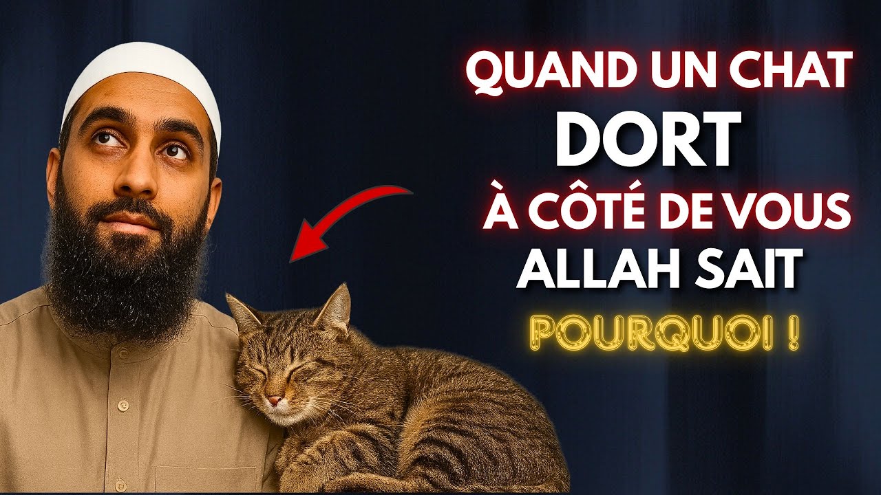 Si un chat dort à côté de vous, c'est ce que cela signifie dans l'Islam !