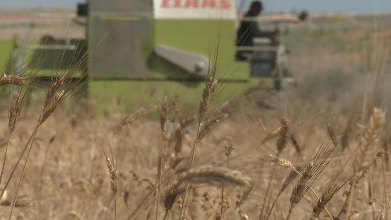 مزارعون تونسيون يعودون الى 