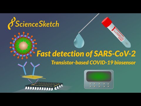 Video: Biosensor Sekresi Untuk Memantau Ekspor Protein Sec-dependent Di Corynebacterium Glutamicum