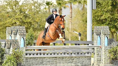 WEC Ocala Winter Spectacular | 3rd Place | Casey C...