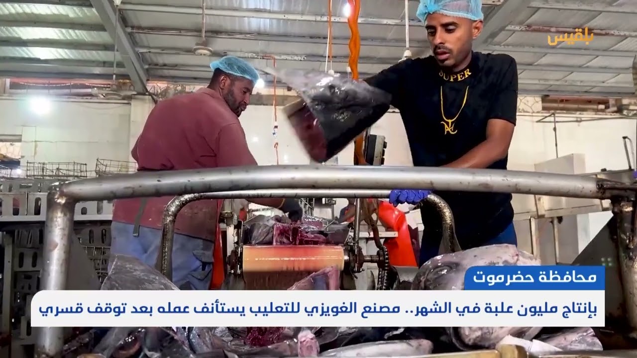 بإنتاج مليون علبة في الشهر.. مصنع الغويزي للتعليب يستأنف عمله بعد توقف قسري | تقرير: محمد عمر