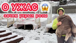 картинка: УКРЫВАТЬ - НЕ УКРЫВАТЬ... Вот в чём вопрос?!