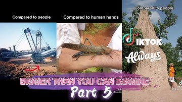 THINGS THAT ARE BIGGER THAN YOU THINK [TIKTOK COMPILATION] - PART 5