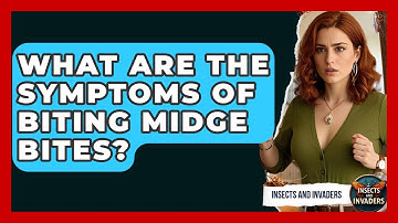 What Are The Symptoms Of Biting Midge Bites? - Insects and Invaders