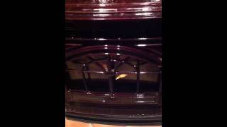 Quadra-Fire Castile Pellet Insert