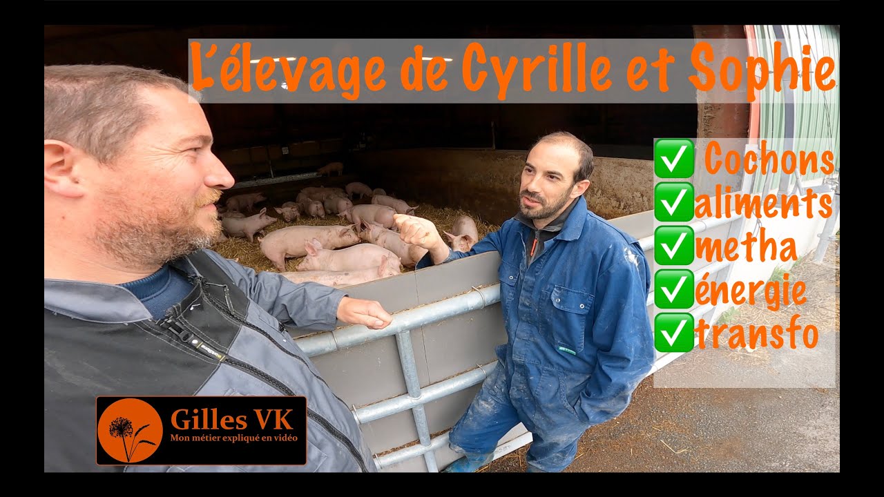 Visite de ferme : l'élevage de cochon de Cyrille et Sophie.