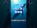 【驚愕】クジラが肺呼吸なのに海で生きられる不思議な仕組み...