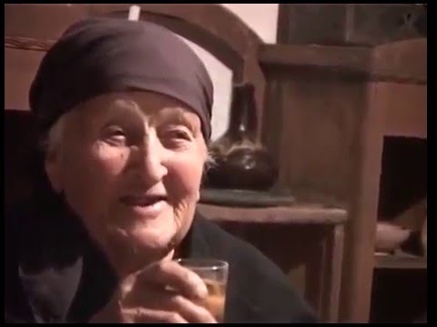 არბოშიკი 2008