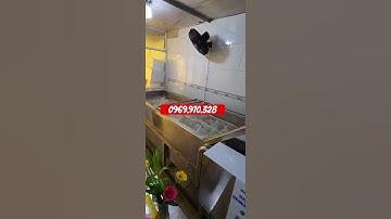 Máy rửa rau củ quả công nghiệp