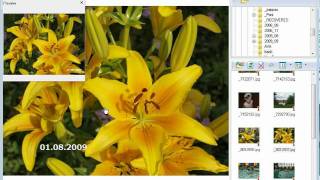 How To Date Stamp Photos. Do It Wisely! screenshot 2