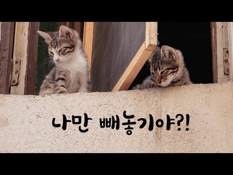 아내와 아들에게 실망해서 서운해하는 남편ASMR