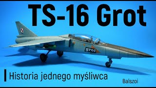 TS-16 Grot | historia jednego myśliwca