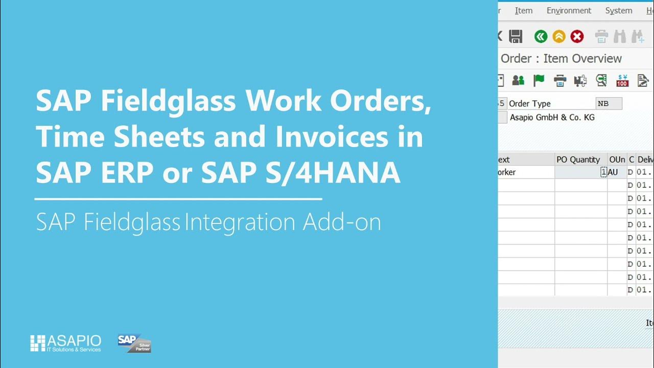 Demo SAP Fieldglass Integration of work orders, time sheets and invoices with SAP ERP / S
