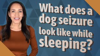 What does a dog seizure look like while sleeping?
