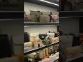 Compras desde China #parati #fypviral