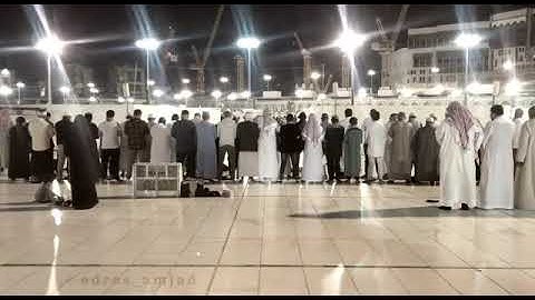 ﴿وَلَئِن سَأَلتَهُم لَيَقولُنَّ إِنَّما كُنّا نَخوضُ وَنَلعب﴾ (تلاوة خاشعة) لـ الشيخ د. ماهرالمعيقلي