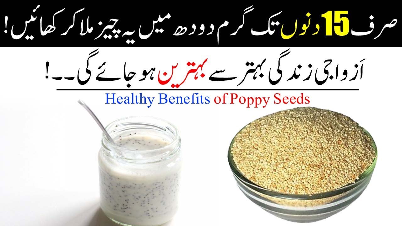 Benefits of poppy seeds & milk in Urdu khashkhash ke fayde YouTube