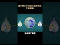 爲什麽太平洋和大西洋海水不能相融？   #科普 #冷知识 #shorts