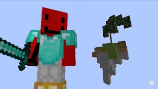 The Skywars Experience 