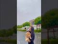 My Cat Under The Rain Qanun اكسبلور Naghamdebal Qanun نغم الدعبل My Cat Under The Rain Qanun اكسبلور Naghamdebal Qanun نغم الدعبل