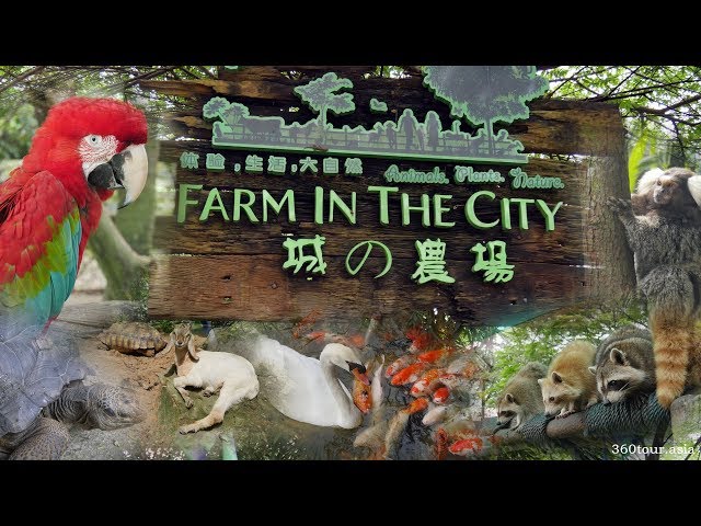 🐰 Farm In The City 城の农场 🐹 at Seri Kembangan Selangor, Malaysia class=