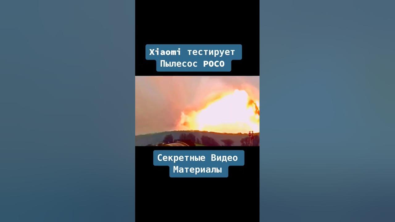новый поко ? #рекомендации #мем #подпишись #реакцыя #покофон - YouTube