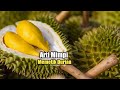 Arti Mimpi Memetik Durian