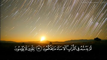 ابداع وامتاع من سورة النحل🌷 |  ارح قلبك مع القارئ محمد كمال هاشم ❤️