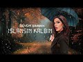 Sevda imek  islansn kalbin lyric