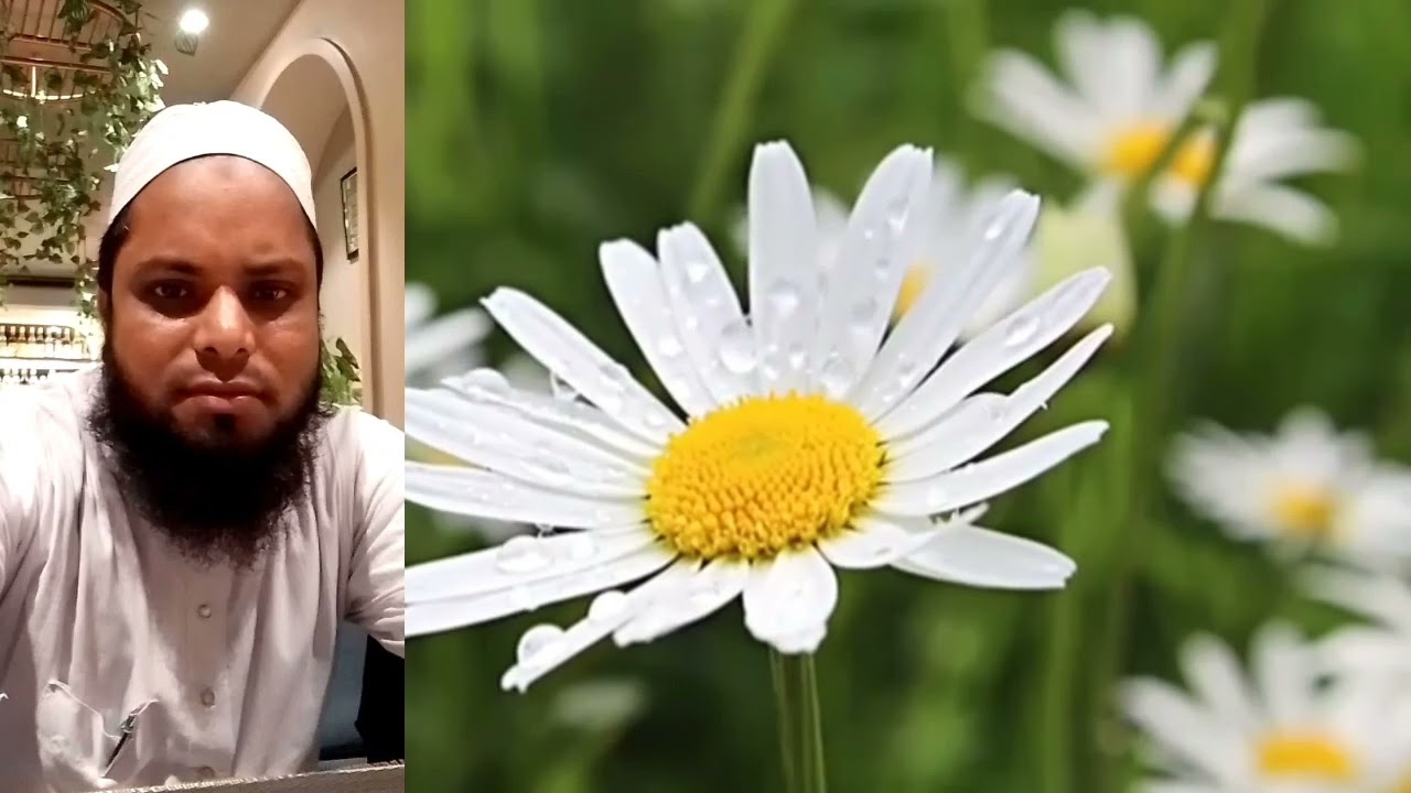 امنہ کے لال کا دیدار ہو جائے مولانا محمد مقیم بالی پوشی امام و خطیب مسجد ابوذر رضی نیا ڈیہ سینی