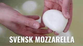 Så här gör man svensk mozzarella (REPRIS)