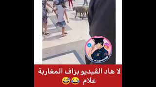 هاد الفديو بزااافلمغاربة علام 