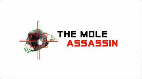 How to Find an Active Mole Run for optimal  mole trap placement