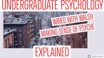 Undergraduate Physiological Psychology - A Neuron’s Resting Potential - Wired With Walsh