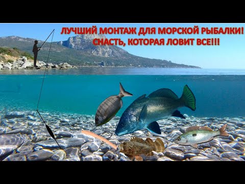 Лучший монтаж для рыбалки на Черном море Отводной поводок для морской рыбалки.Ловит всю  рыбу!