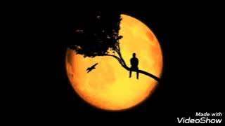 Loneliness, Peter & Paris (lirik terjemahan)