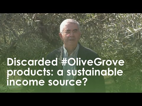 Video: Xylella ja oliivit – Mitä tehdä oliivipuulle, jolla on ksylella-tauti