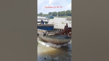 Vượt cống 7 cửa.#short.