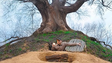 Building a warm and cozy secret shelter deep under a large tree. Bushcraft. Secret cave. Overnight.