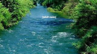 Adult Swim Bump - Downstream