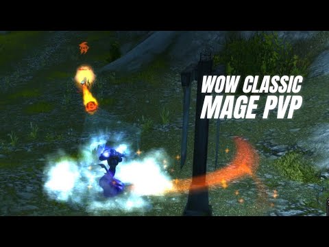 Taking P6 Rankers To School ? WoW Classic PvP Clips