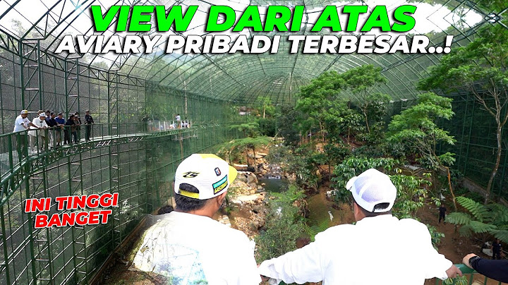 VIEW DARI ATAS SINI BENERAN LUAS BANGET AVIARY PRIBADI TERBESAR..! TAPI TINGGI BANGETT