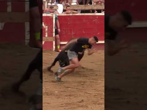 😱  #toros #bull #toroultra #torosBravos #torosspain