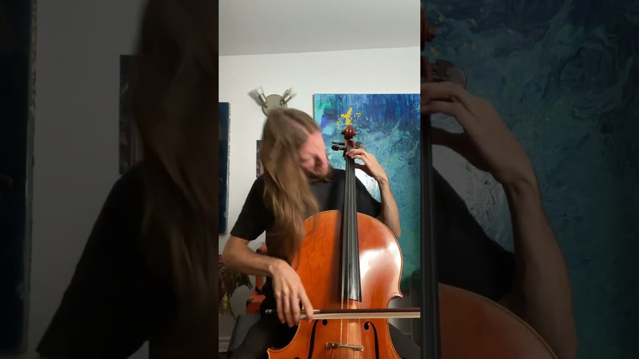 When the cello djents 🎻