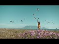 Vídeo de Taryn Elliott de Pexels