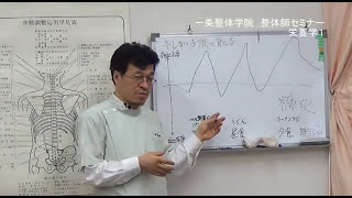 キレやすい子供にならない食育　整体師セミナーＳ⑥　栄養学１