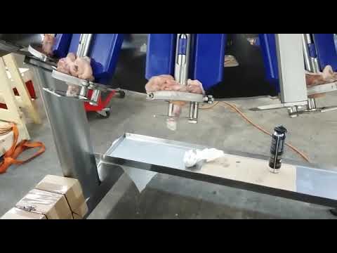 Dutch Poultry Tech Drum / Thigh Deboner DTD| Poultry processing solutions
