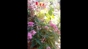 numpy - 8 - Manejo de Imágenes